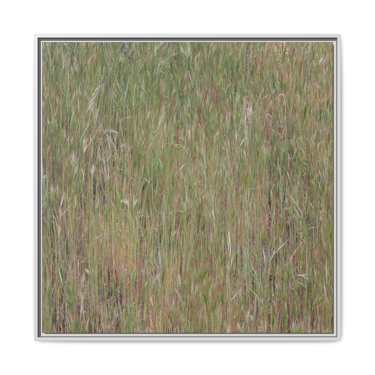 Field of Dreams - Unique Stretched Canvas Wall Art