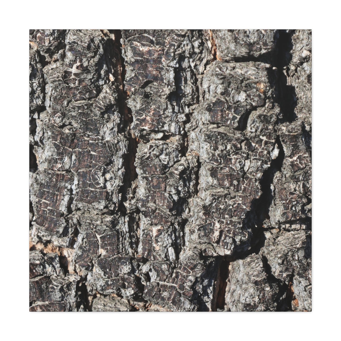 Cracked Skin of Earth - Unique Frameless Canvas Wall Art