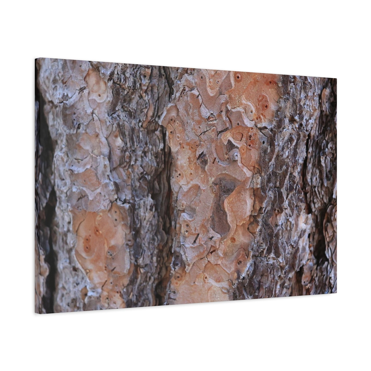 Terracotta Textures - Unique Frameless Canvas Wall Art
