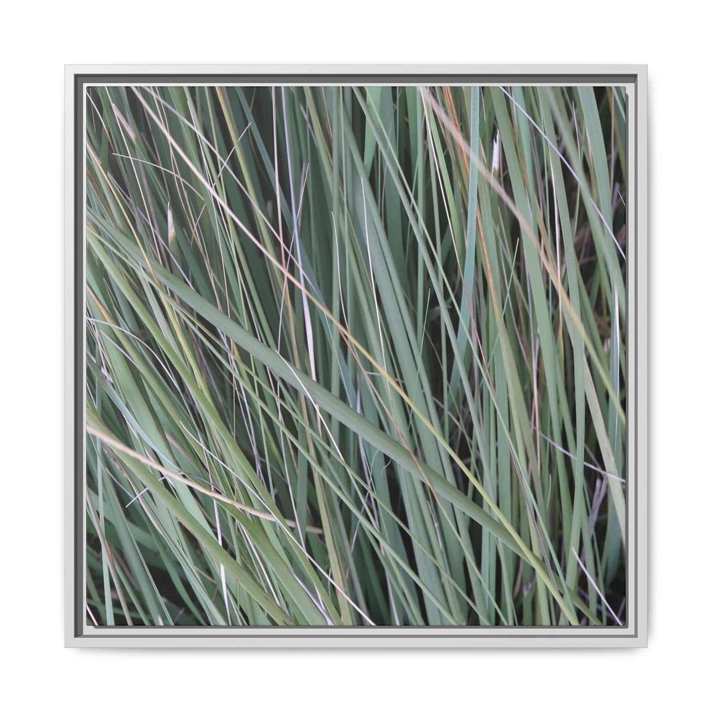 Grassland Symphony - Unique Stretched Canvas Wall Art