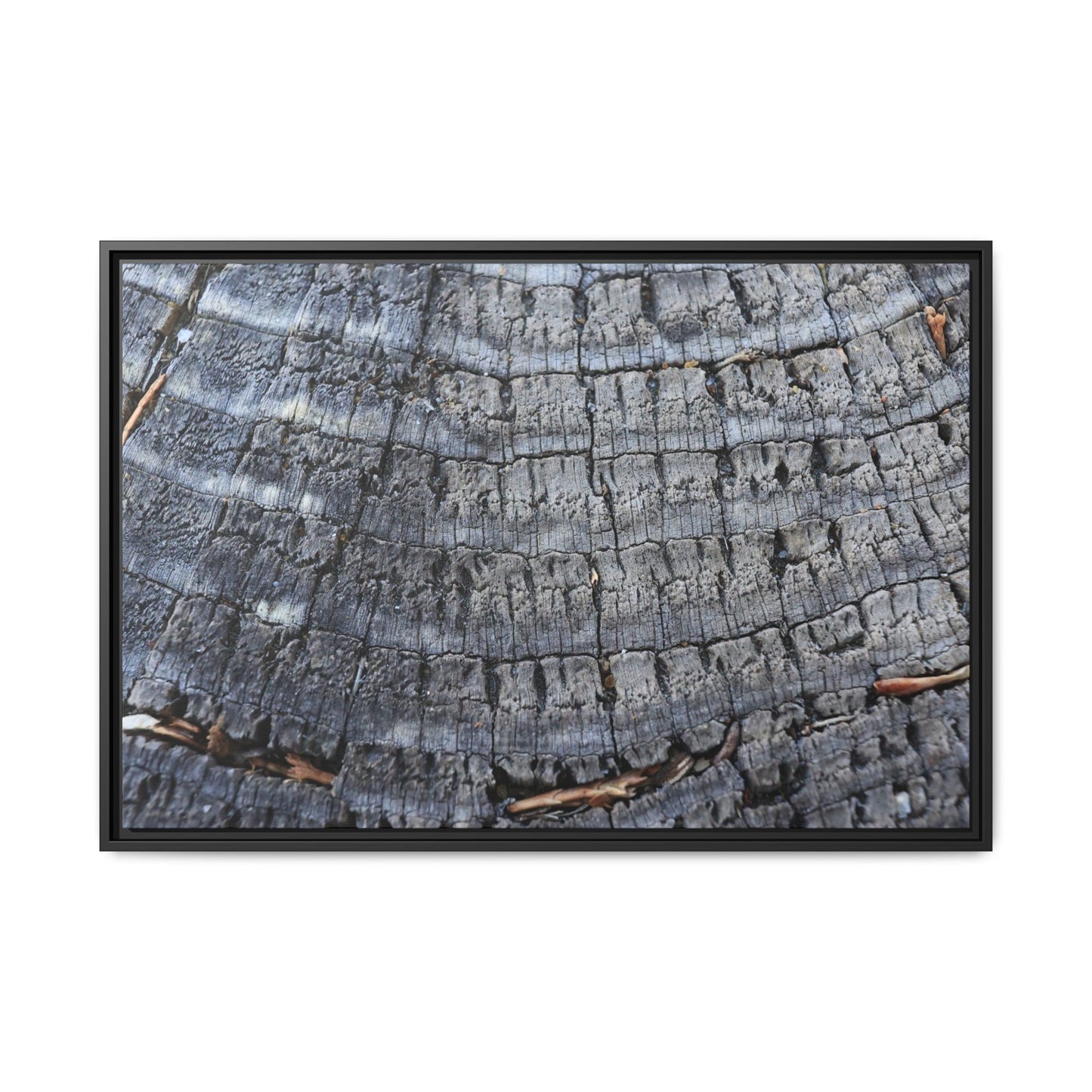 Charred Memories - Unique Stretched Canvas Wall Art