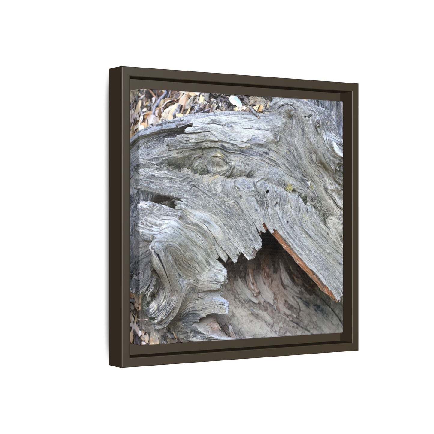 Driftwood Dreams - Unique Stretched Canvas Wall Art
