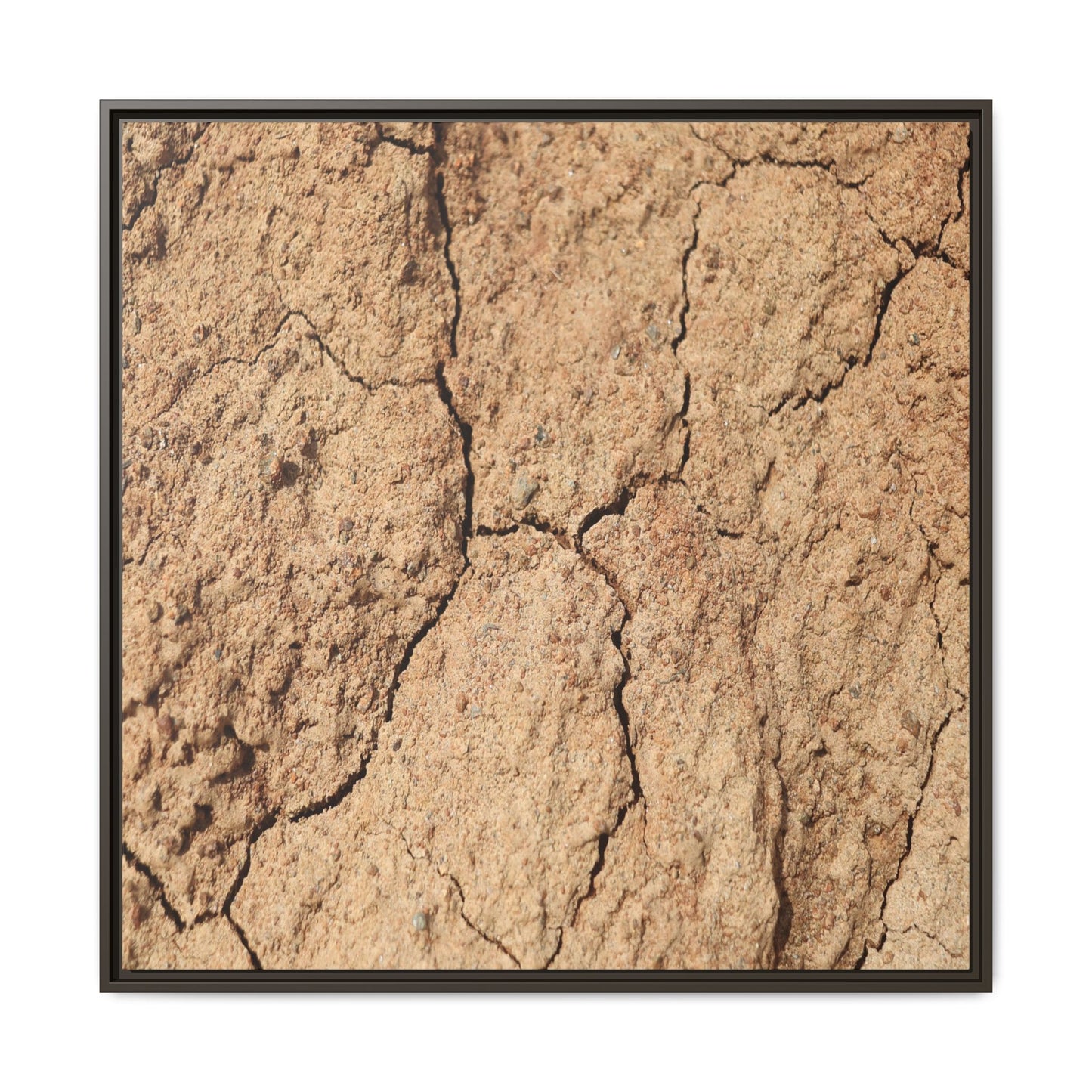 Parched Land - Unique Stretched Canvas Wall Art