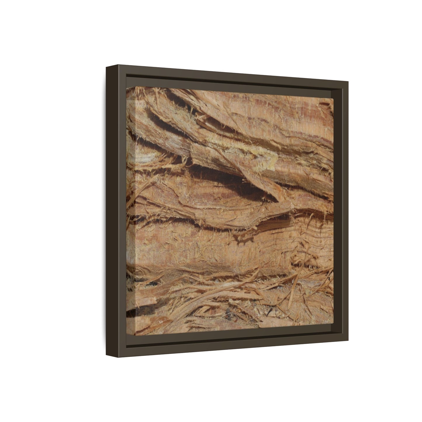 Splintered Bark - Unique Stretched Canvas Wall Art