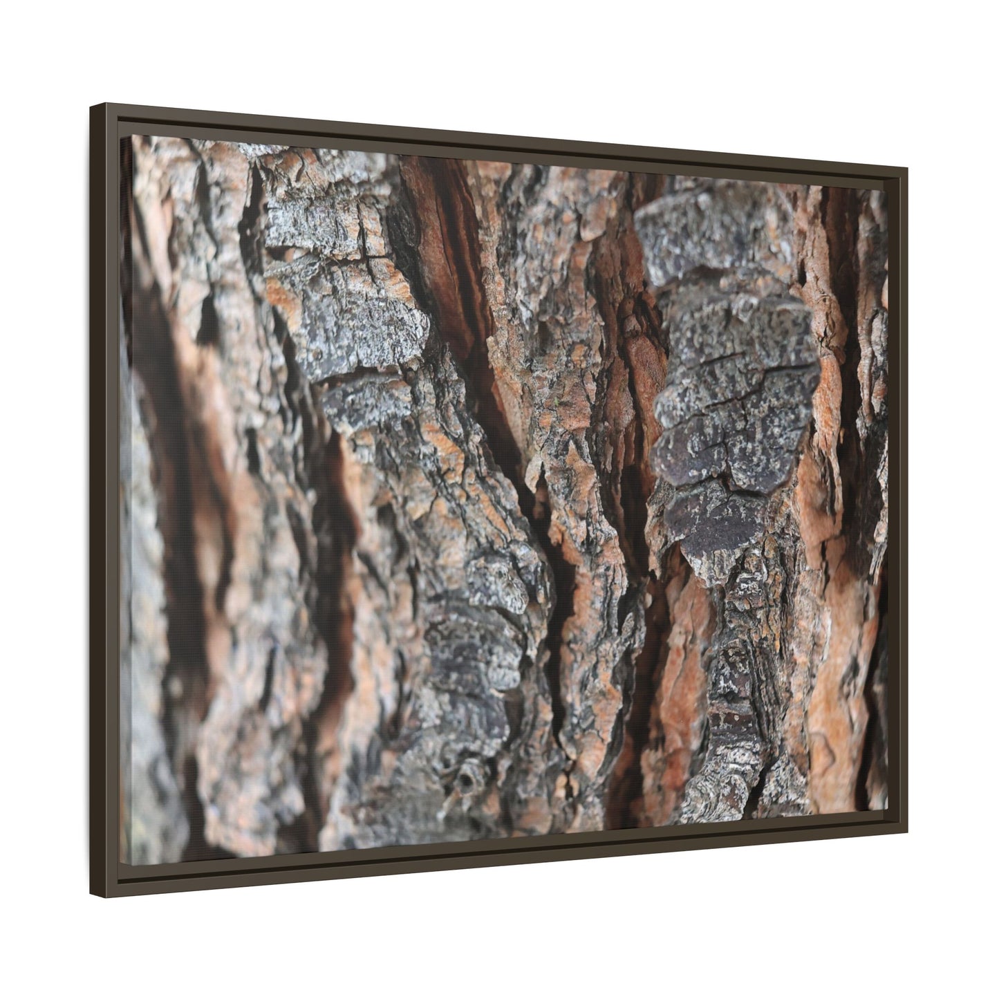 Fractured Nature - Unique Stretched Canvas Wall Art