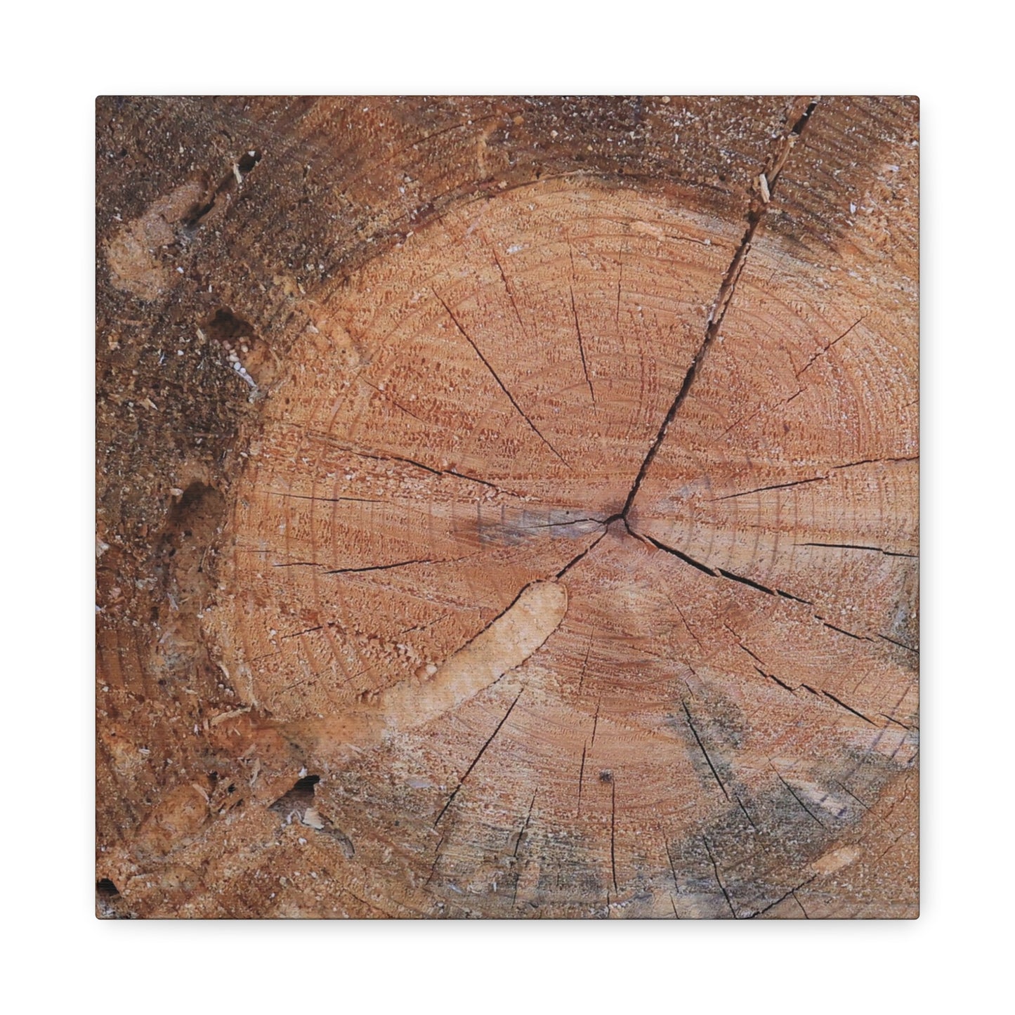 Timber Tale - Unique Frameless Canvas Wall Art