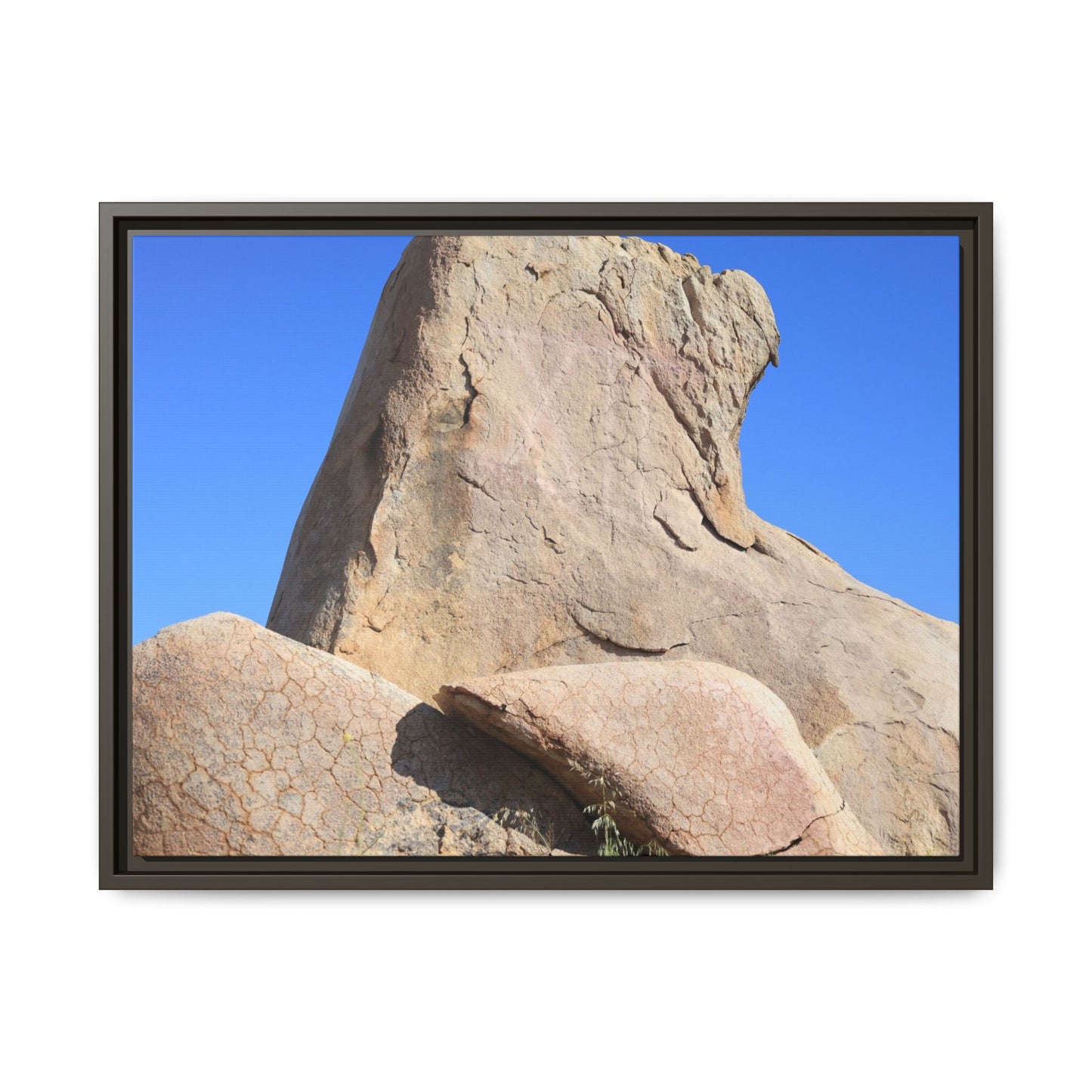 Rocky Sentinel - Unique Stretched Canvas Wall Art