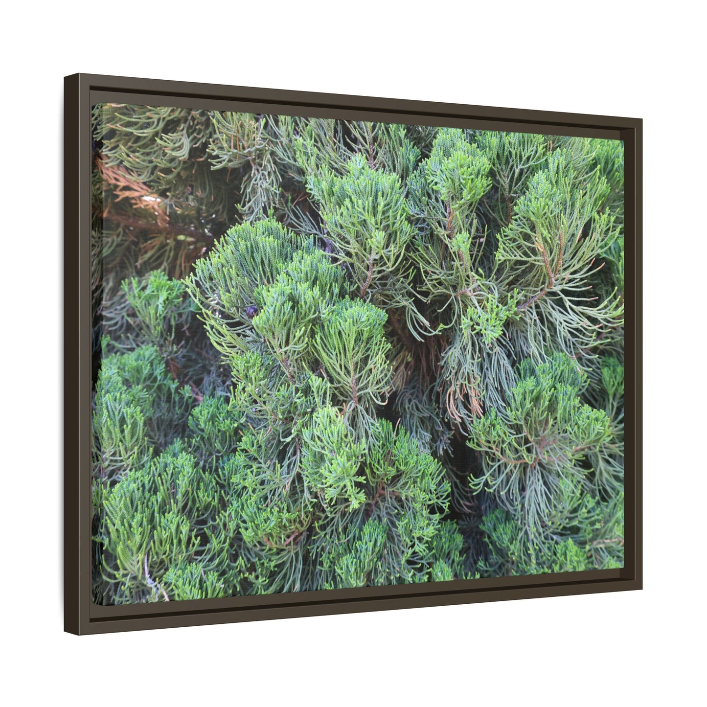 Verdant Whispers - Unique Stretched Canvas Wall Art