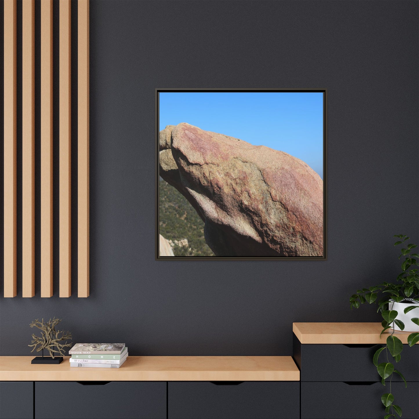 Sleeping Stone - Unique Stretched Canvas Wall Art