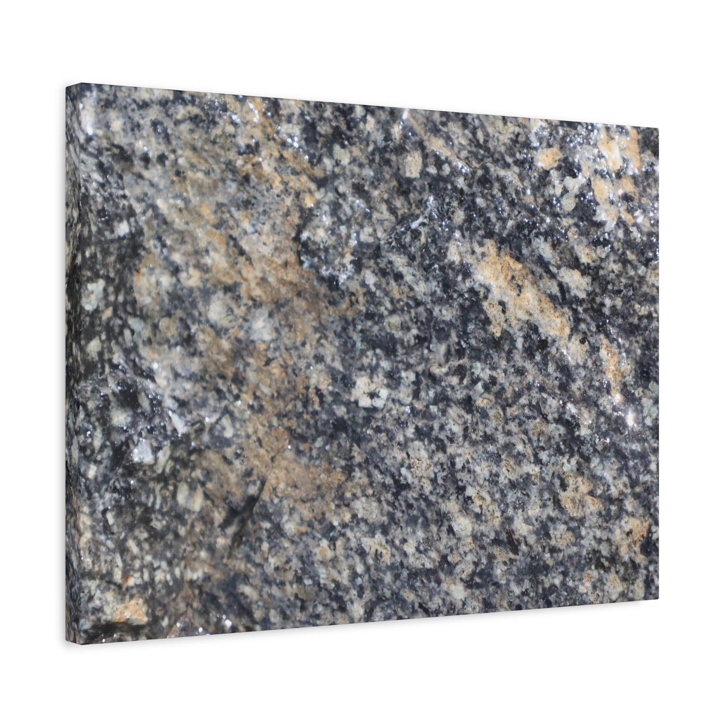Metamorphic Memory - Unique Frameless Canvas Wall Art
