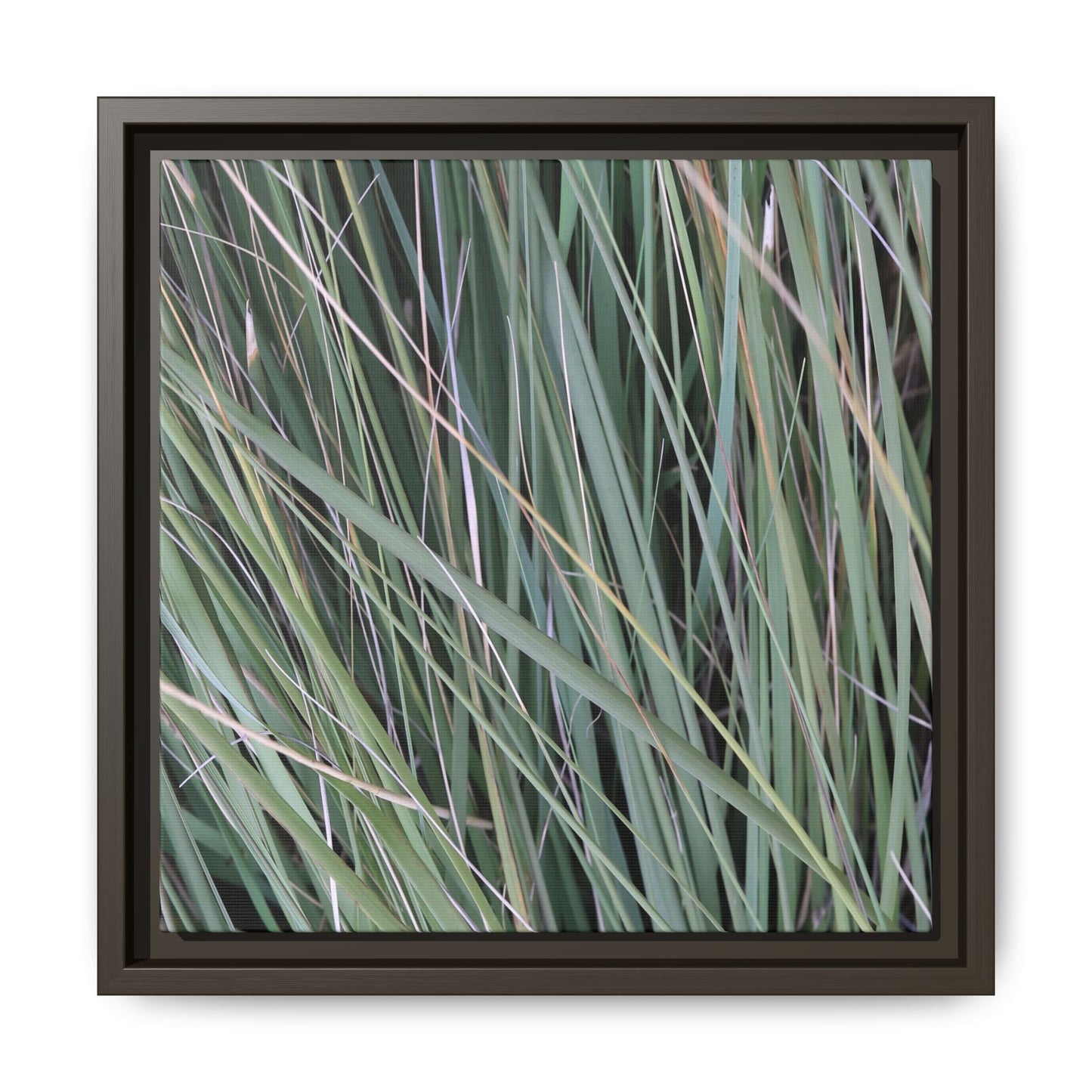 Grassland Symphony - Unique Stretched Canvas Wall Art