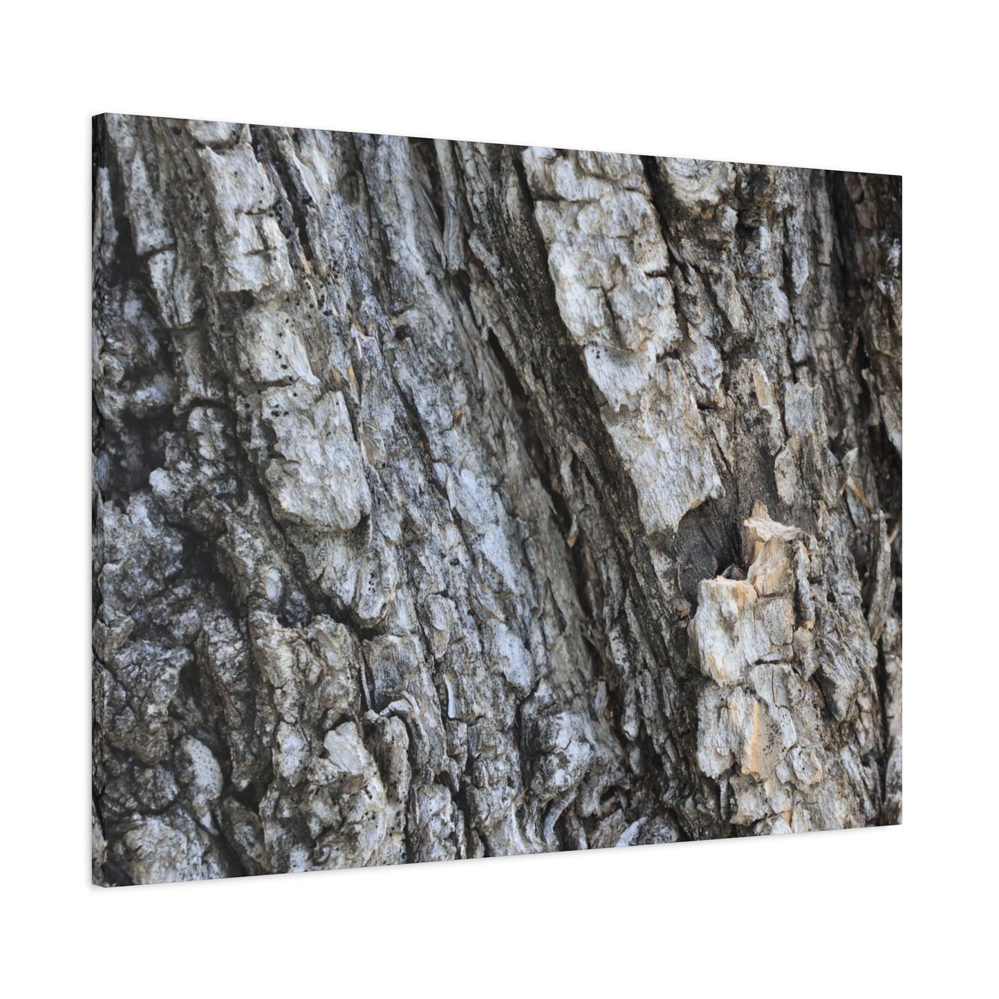 Nature's Rough Embrace - Unique Frameless Canvas Wall Art