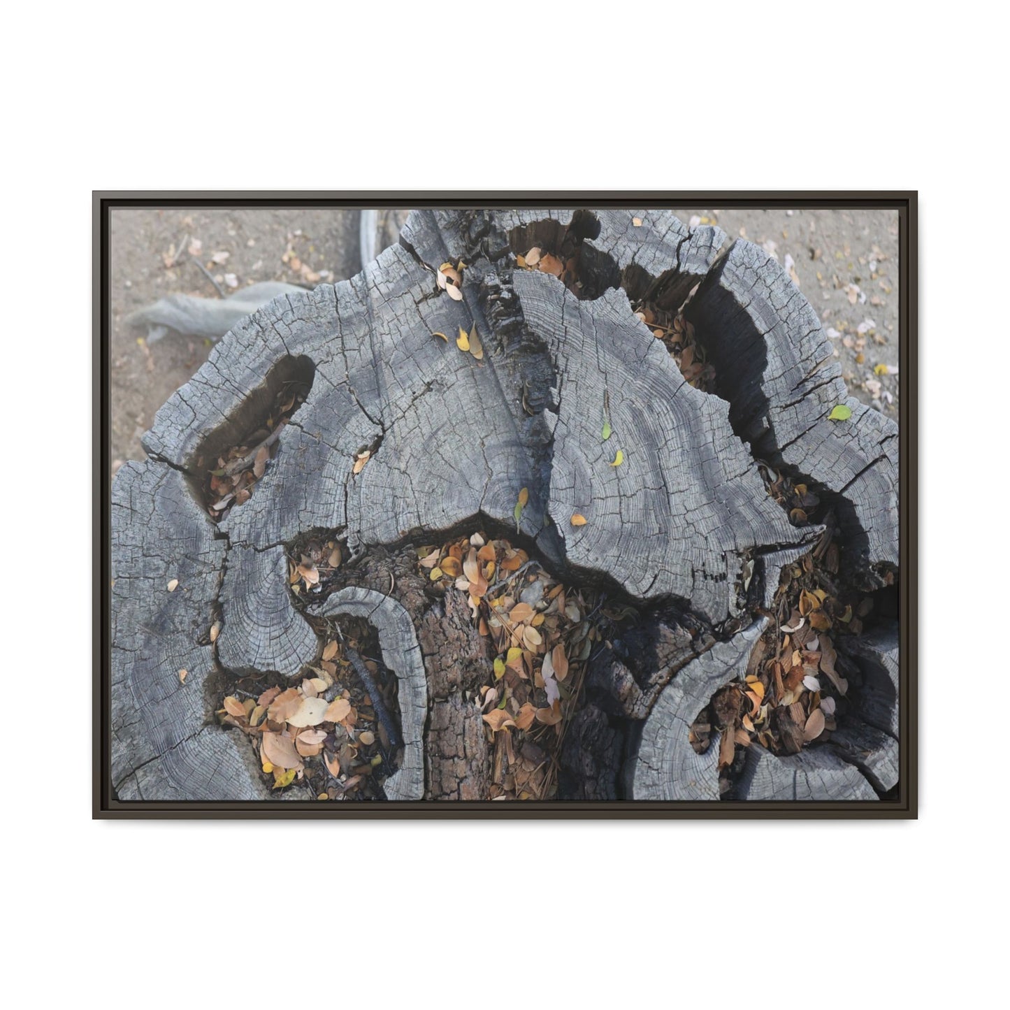Time's Fractal Memory - Unique Stretched Canvas Wall Art