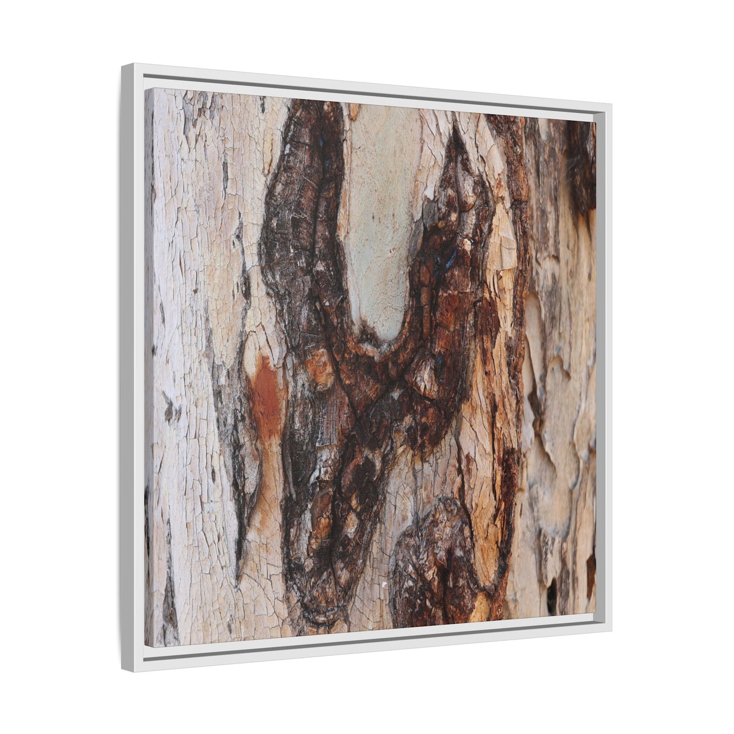Texture of Time - Unique Stretched Canvas Wall Art