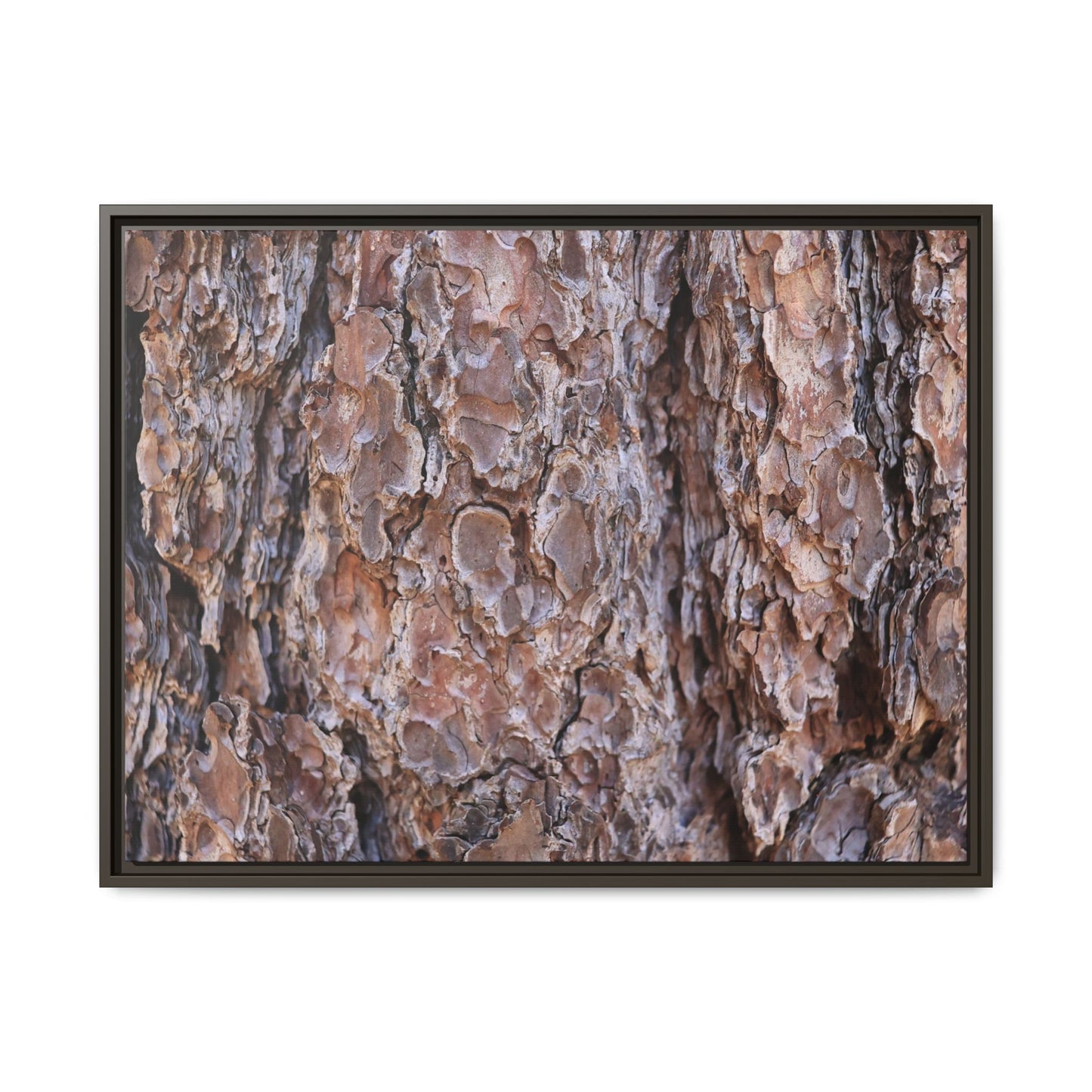 Woody Layers - Unique Stretched Canvas Wall Art