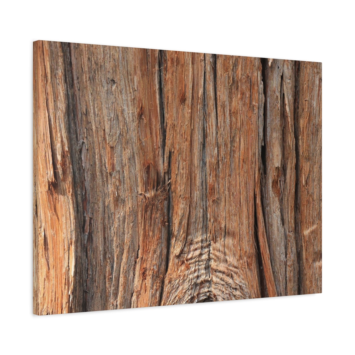 Bark's Ancient Whispers - Unique Frameless Canvas Wall Art