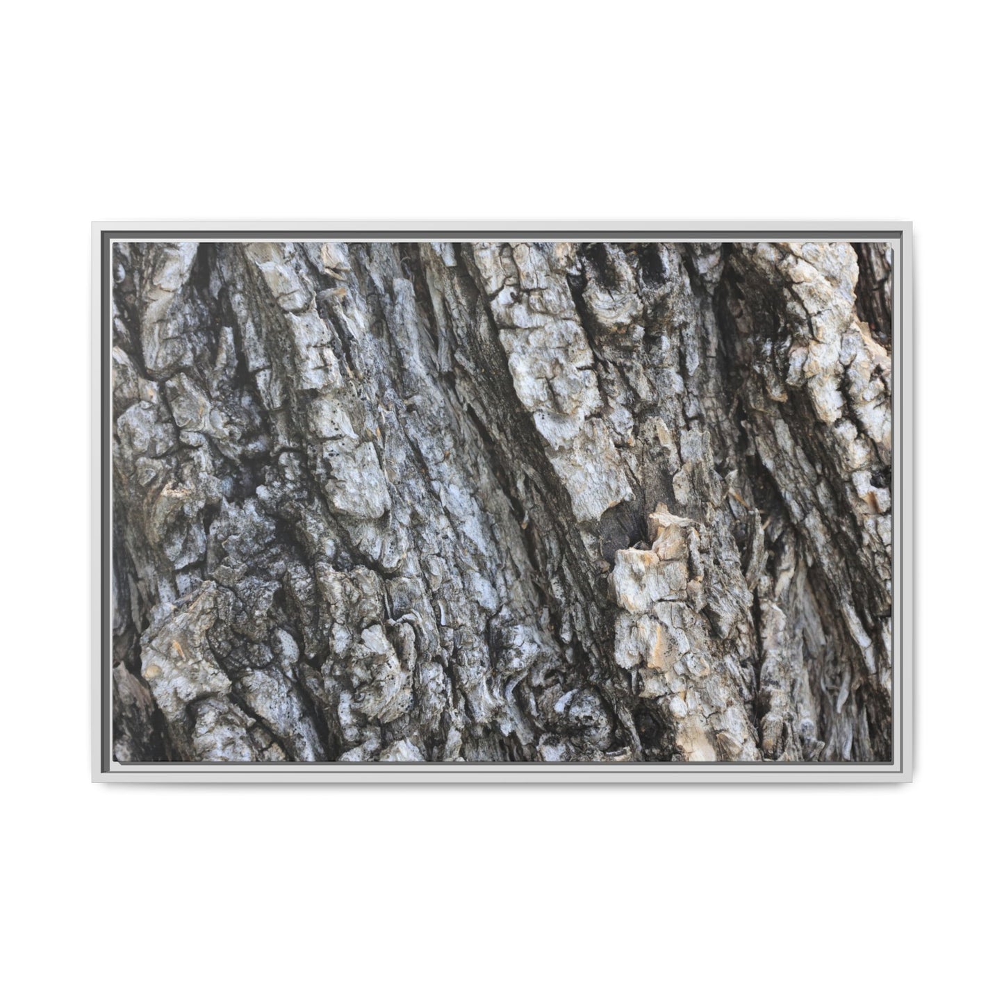 Twisted Textures - Unique Stretched Canvas Wall Art
