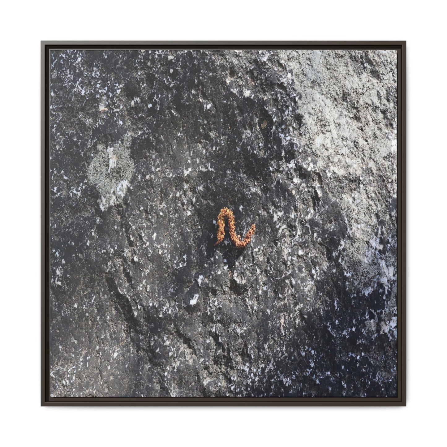 Volcanic Ash and Copper - Unique Stretched Canvas Wall Art