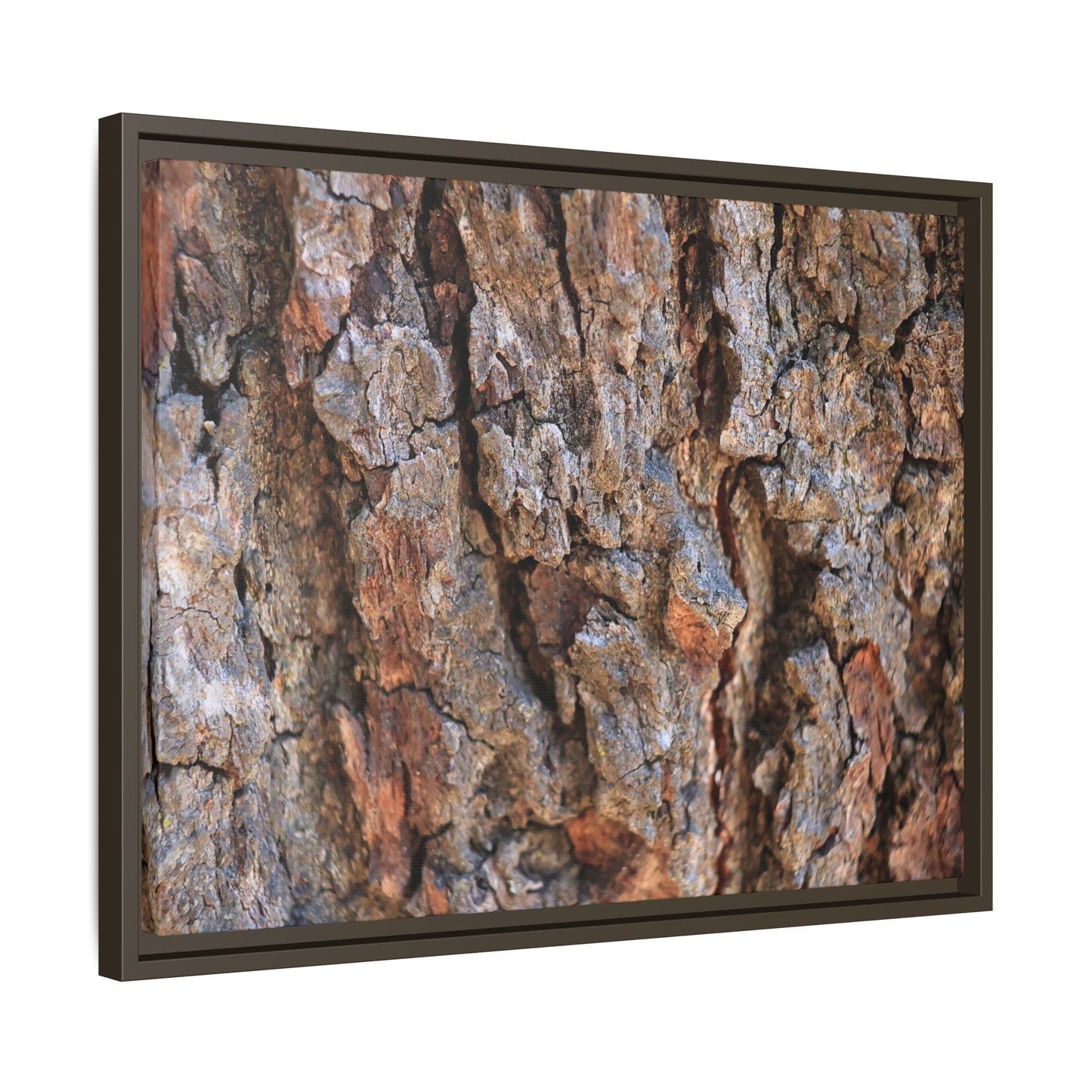 Craggy Textures - Unique Stretched Canvas Wall Art