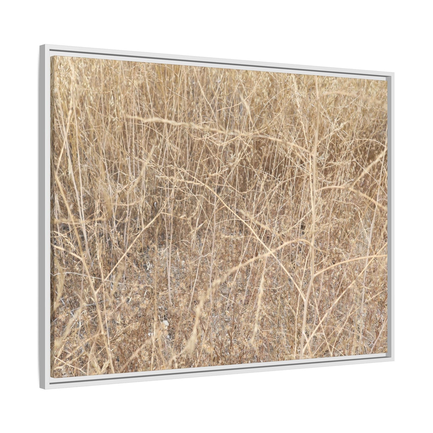 Golden Stalks - Unique Stretched Canvas Wall Art