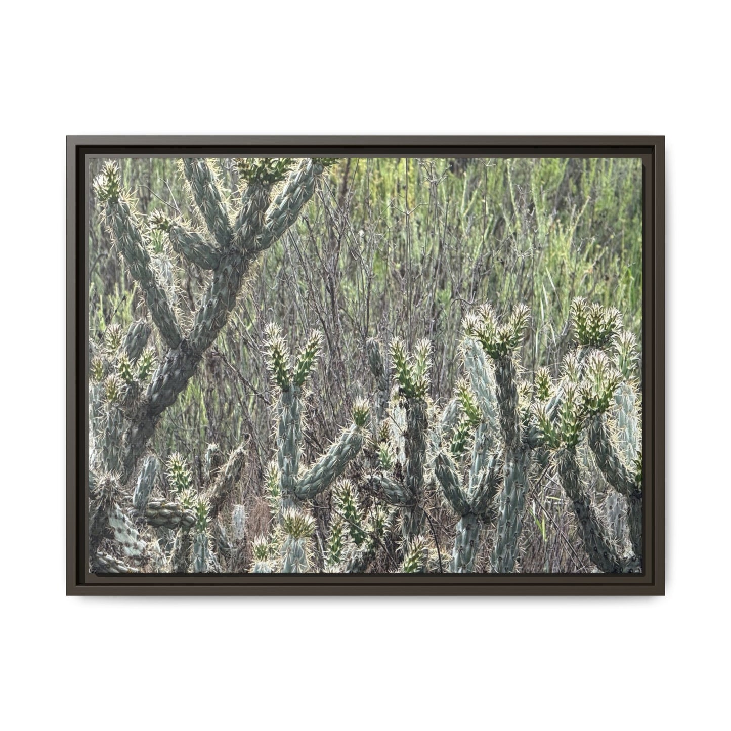 Prickly Paradise - Unique Stretched Canvas Wall Art