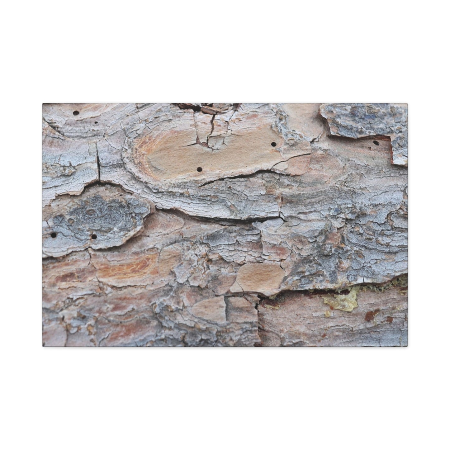 Textural Geology - Unique Frameless Canvas Wall Art