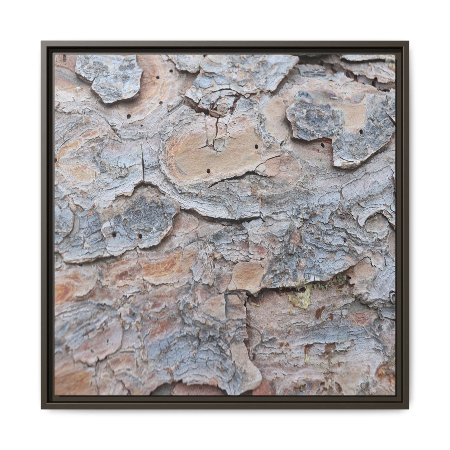Peeling Memories - Unique Stretched Canvas Wall Art