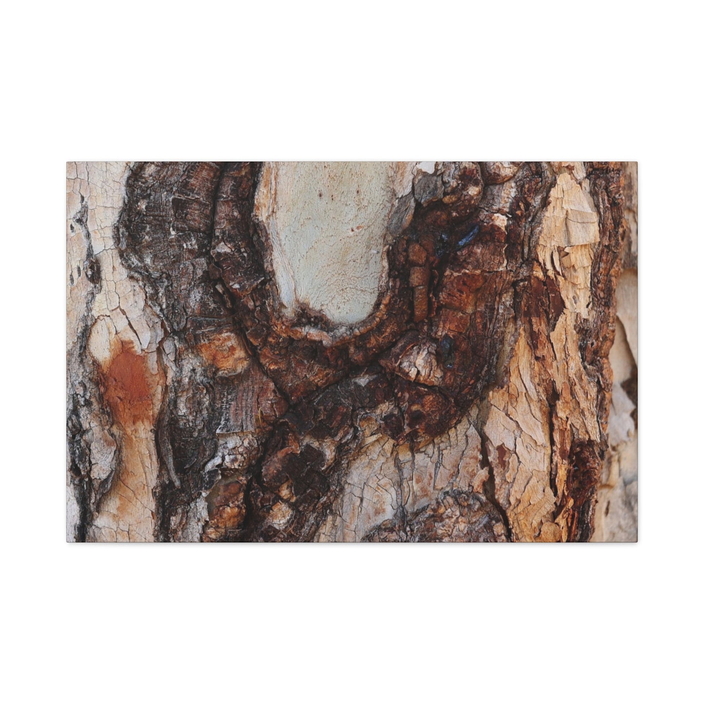 Arboreal Echoes - Unique Frameless Canvas Wall Art