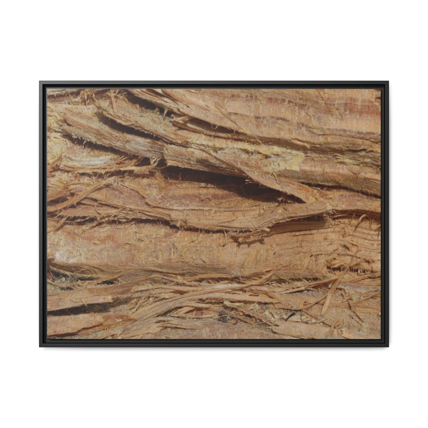 Splintered Bark - Unique Stretched Canvas Wall Art