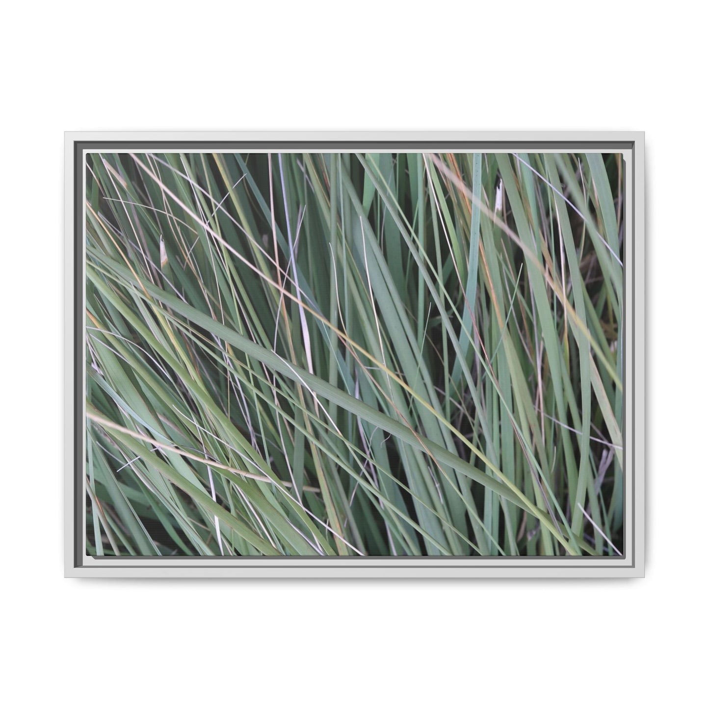 Grassland Symphony - Unique Stretched Canvas Wall Art