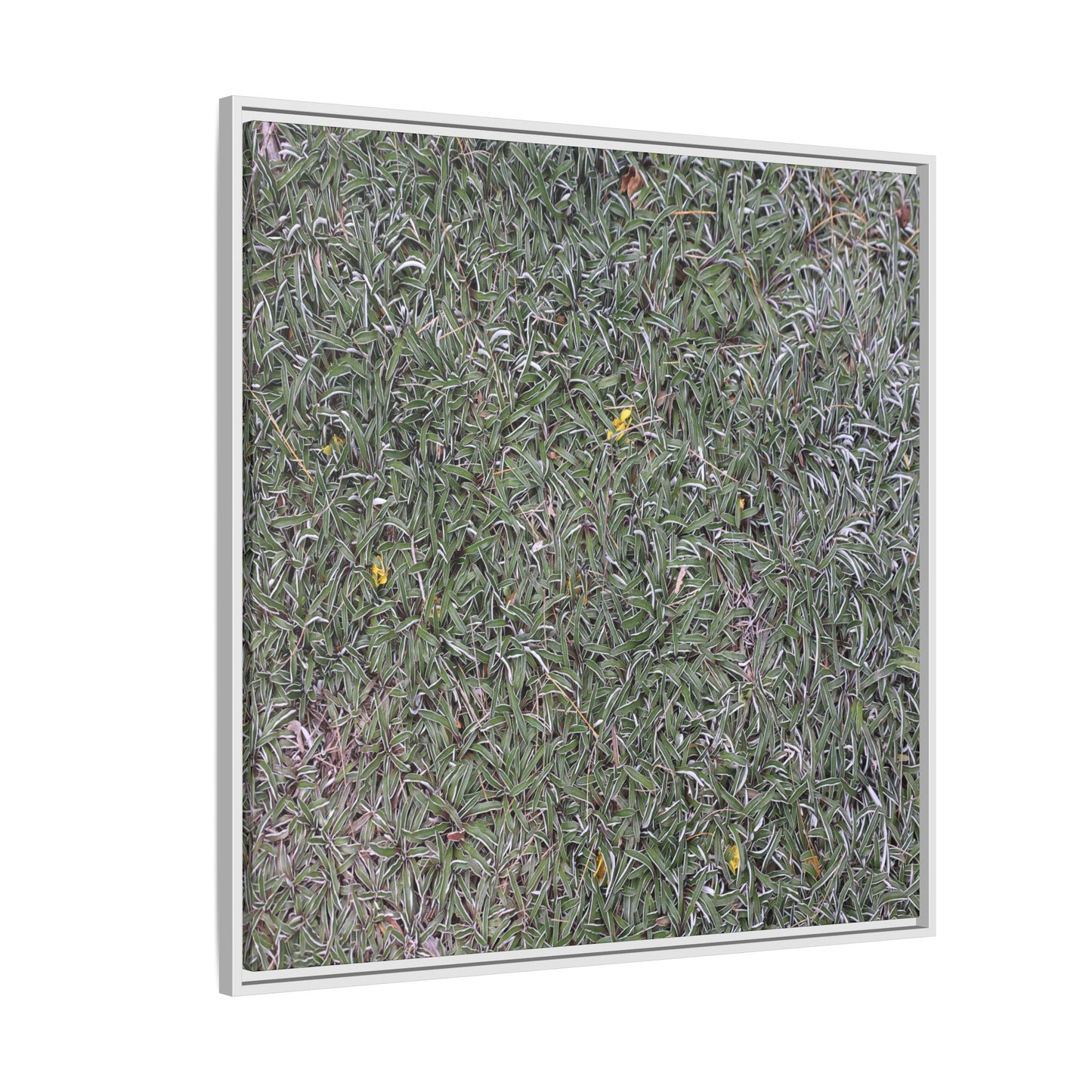 Grassy Texture - Unique Stretched Canvas Wall Art