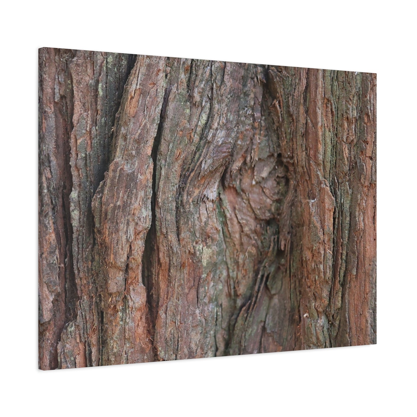 Rustic Embrace - Unique Frameless Canvas Wall Art