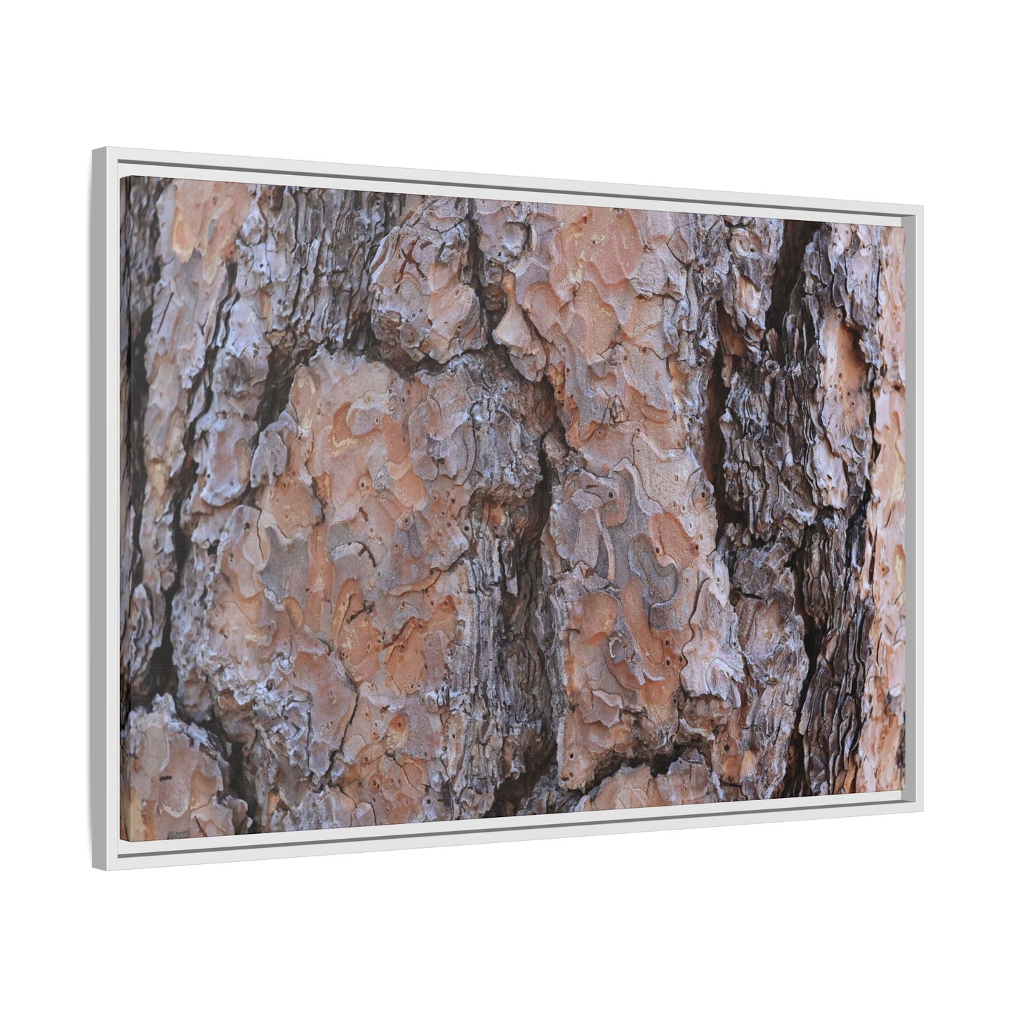 Tree Skin Symphony - Unique Stretched Canvas Wall Art