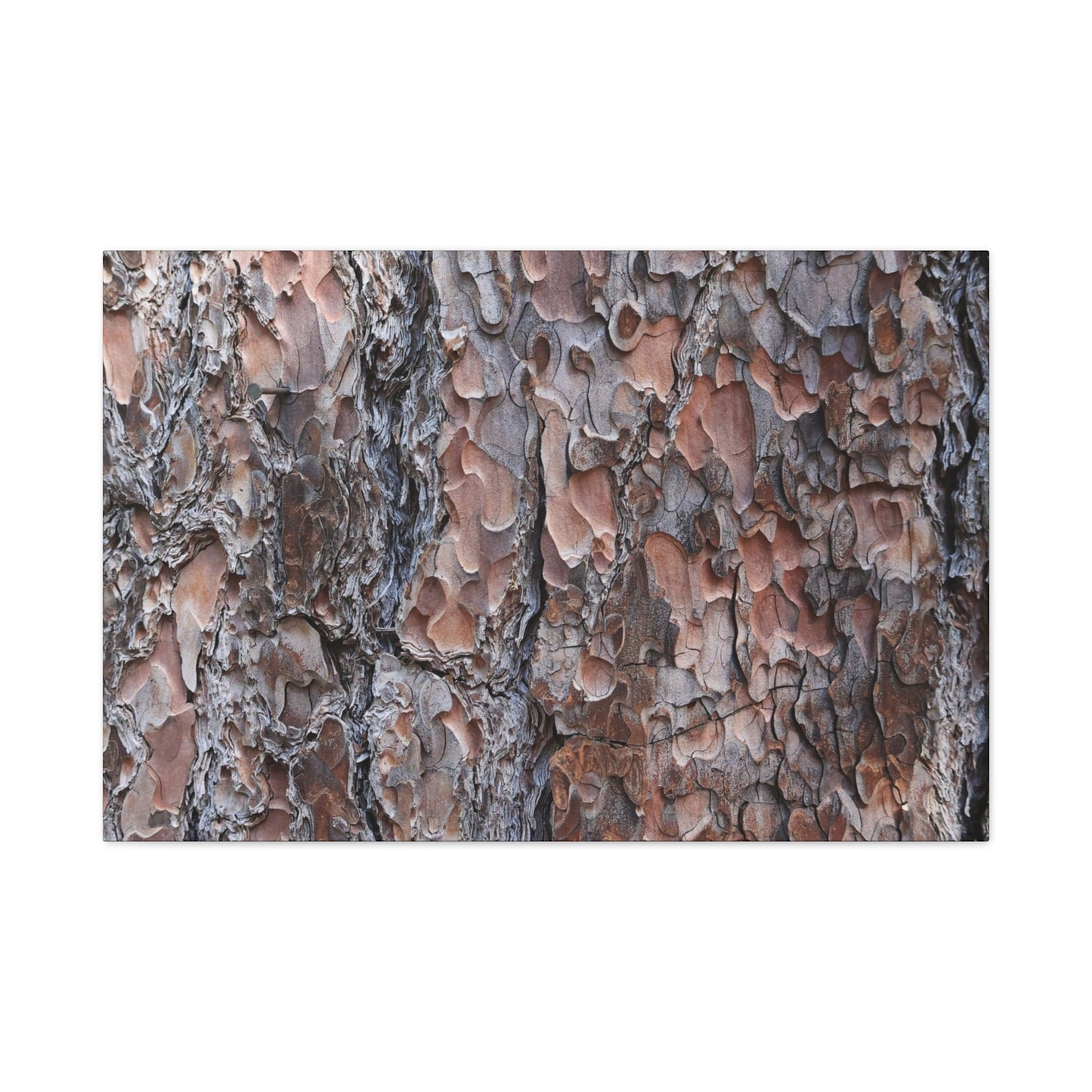 Woodland Armor - Unique Frameless Canvas Wall Art