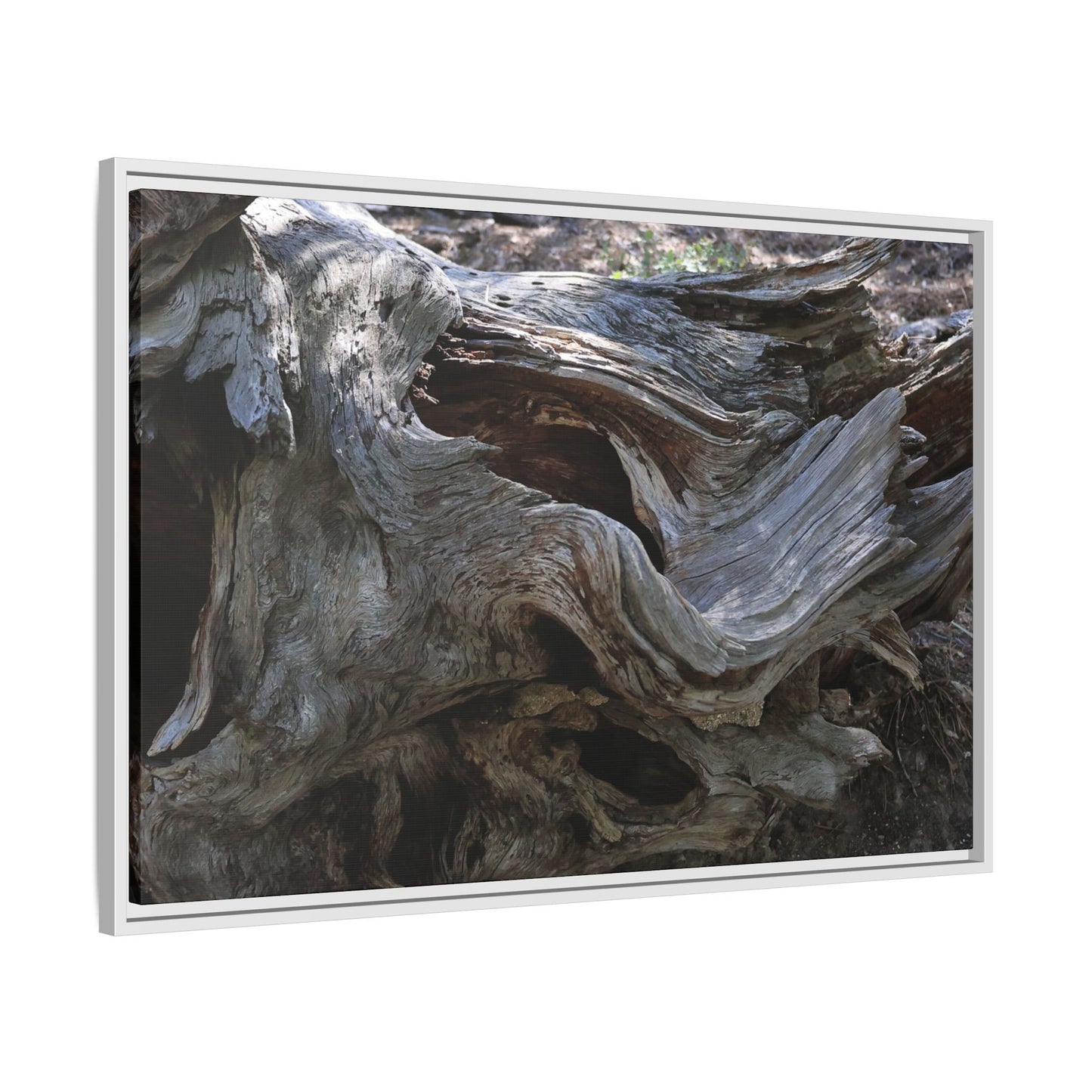 Twisted Memories - Unique Stretched Canvas Wall Art