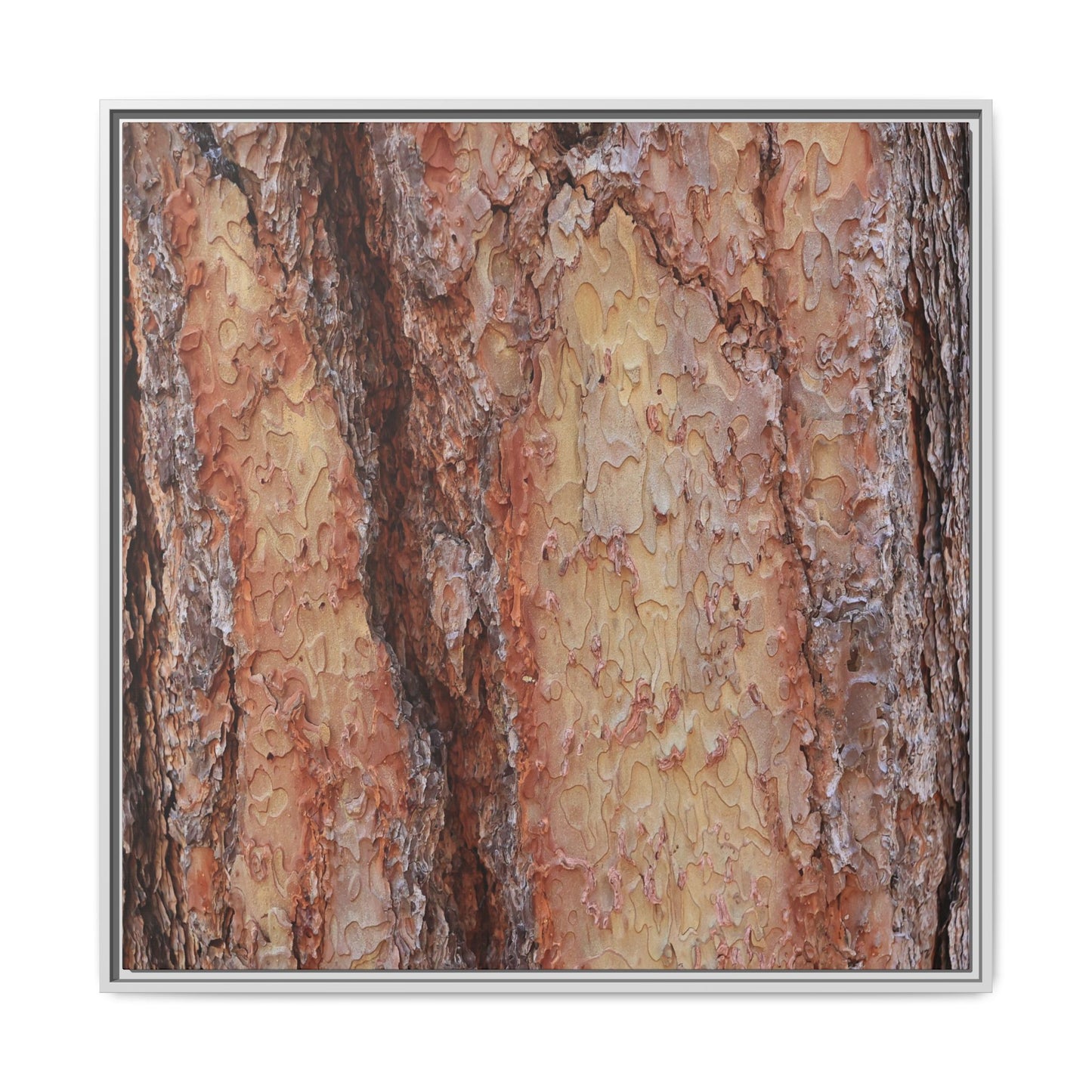 Rustic Rhythms - Unique Stretched Canvas Wall Art