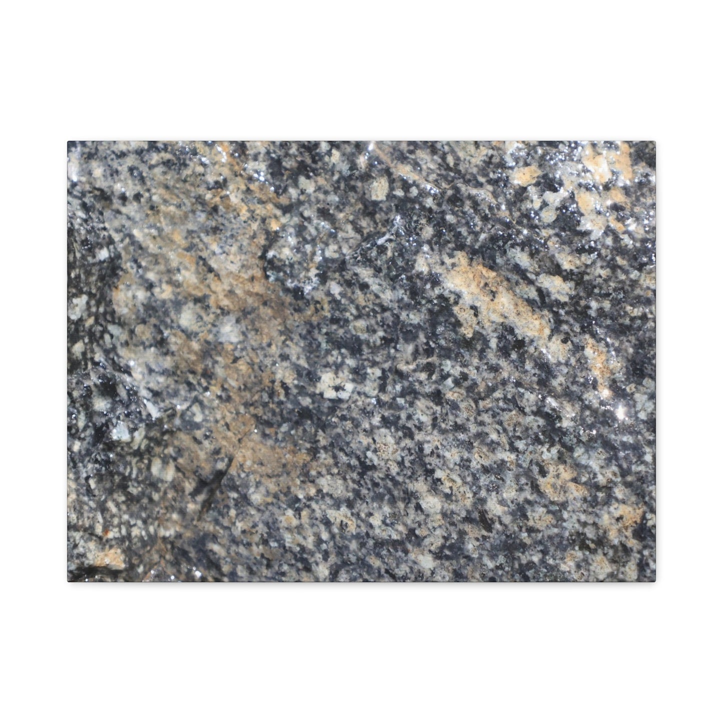 Metamorphic Memory - Unique Frameless Canvas Wall Art