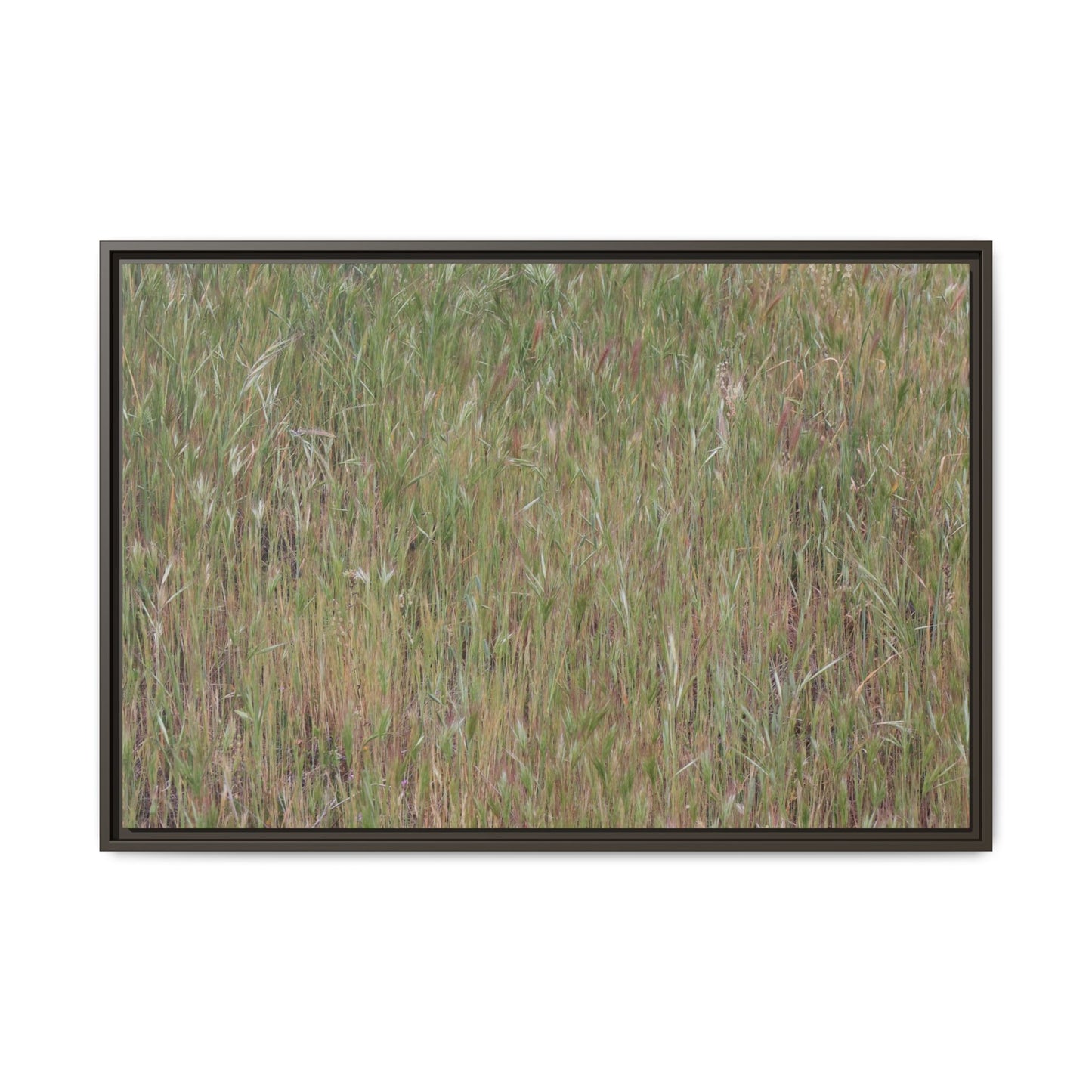 Field of Dreams - Unique Stretched Canvas Wall Art