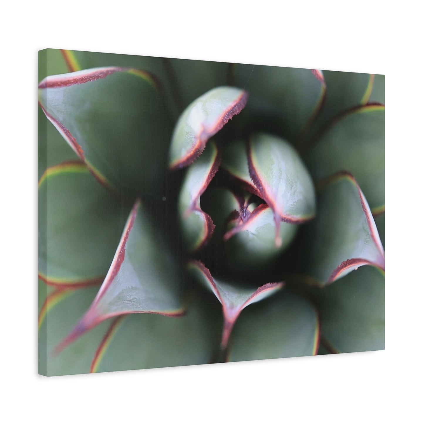 Emerald Spiral - Unique Frameless Canvas Wall Art