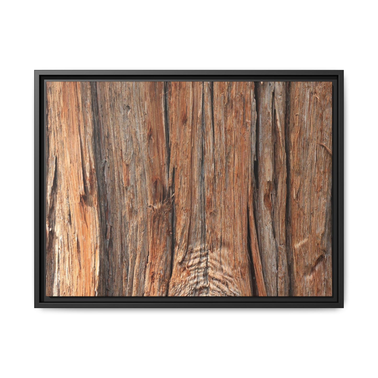 Echoes of Timber - Unique Stretched Canvas Wall Art