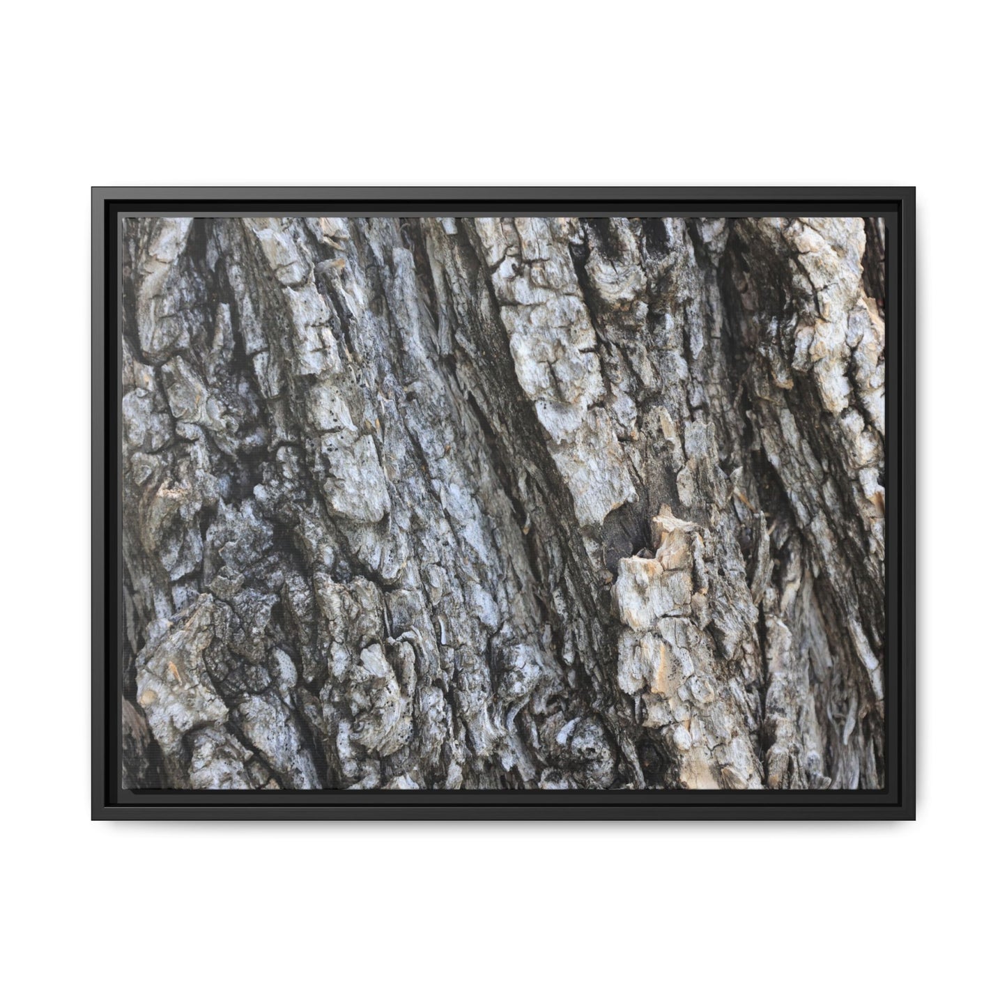Twisted Textures - Unique Stretched Canvas Wall Art