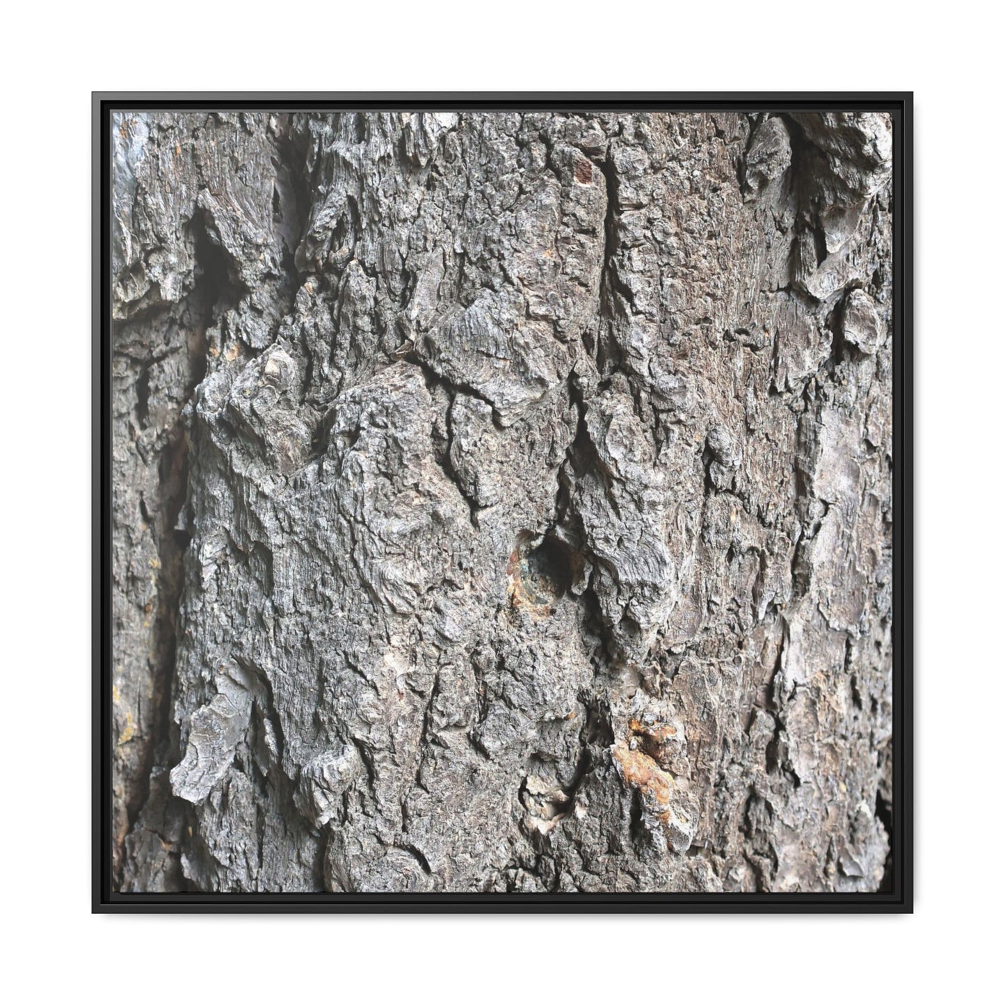 Crusty Exterior - Unique Stretched Canvas Wall Art