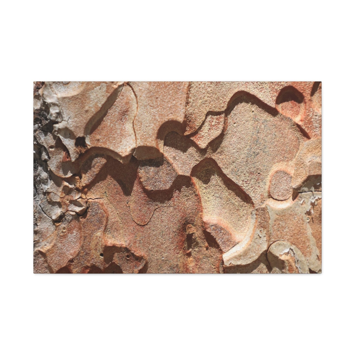 Terracotta Echoes - Unique Frameless Canvas Wall Art