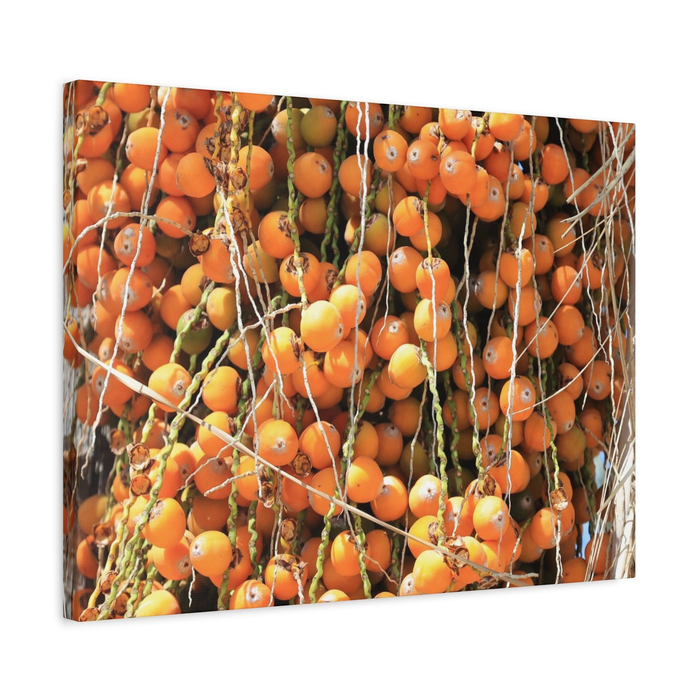 Orange Harvest - Unique Frameless Canvas Wall Art