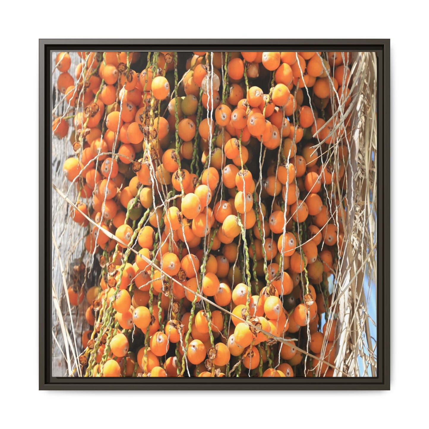 Clusters of Sunlight - Unique Canvas Wall Art