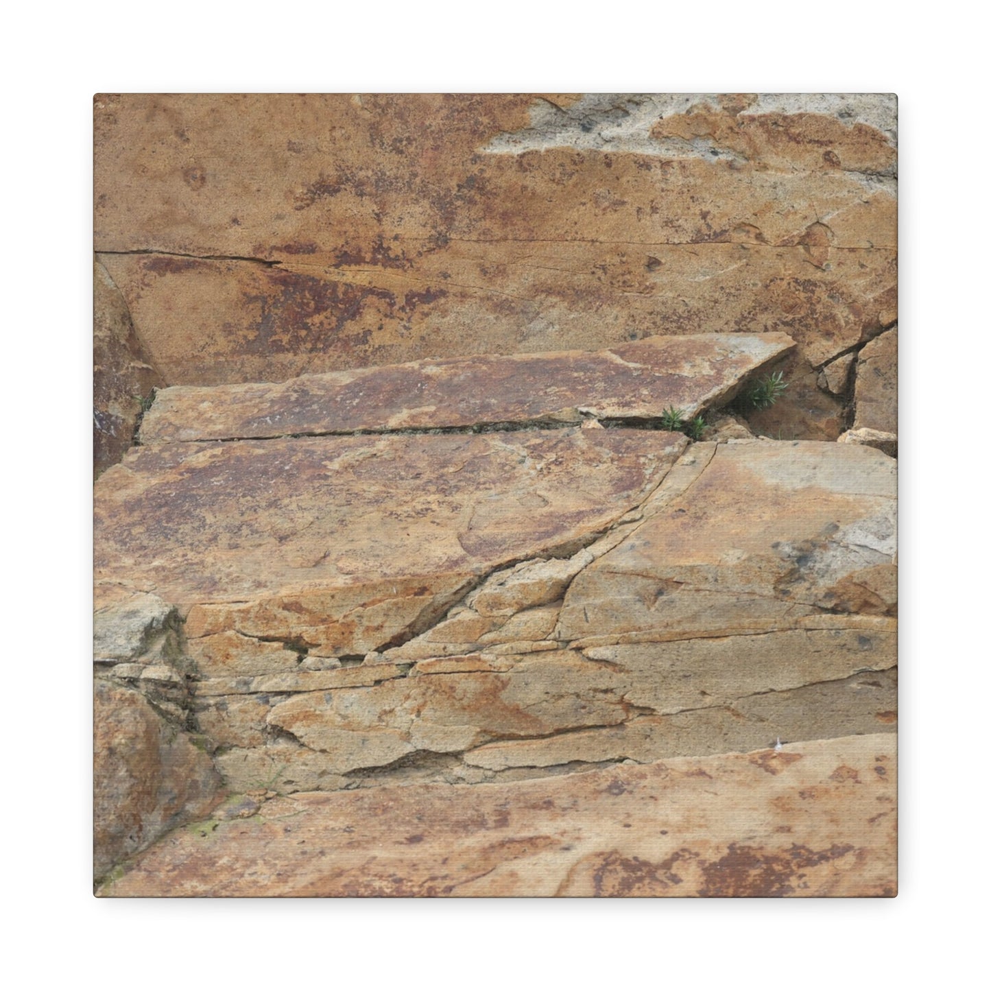 Rocky Terrain - Unique Frameless Canvas Wall Art