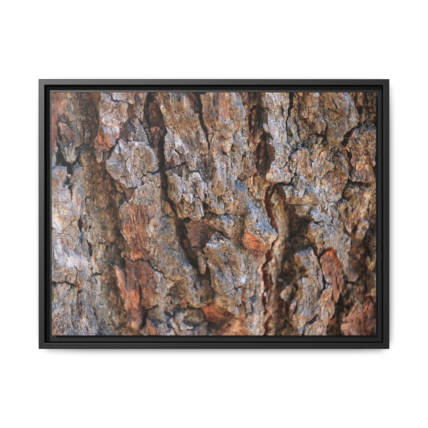 Craggy Textures - Unique Stretched Canvas Wall Art