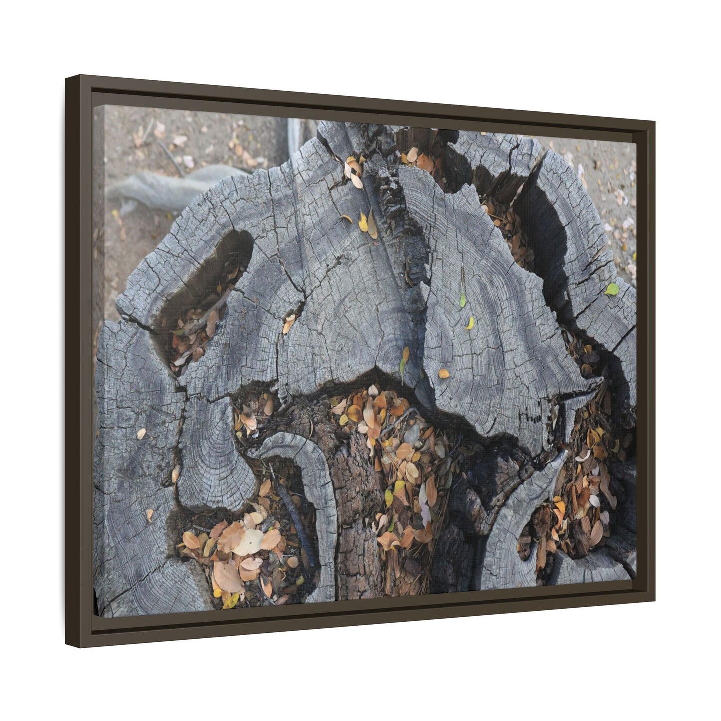 Time's Fractal Memory - Unique Stretched Canvas Wall Art