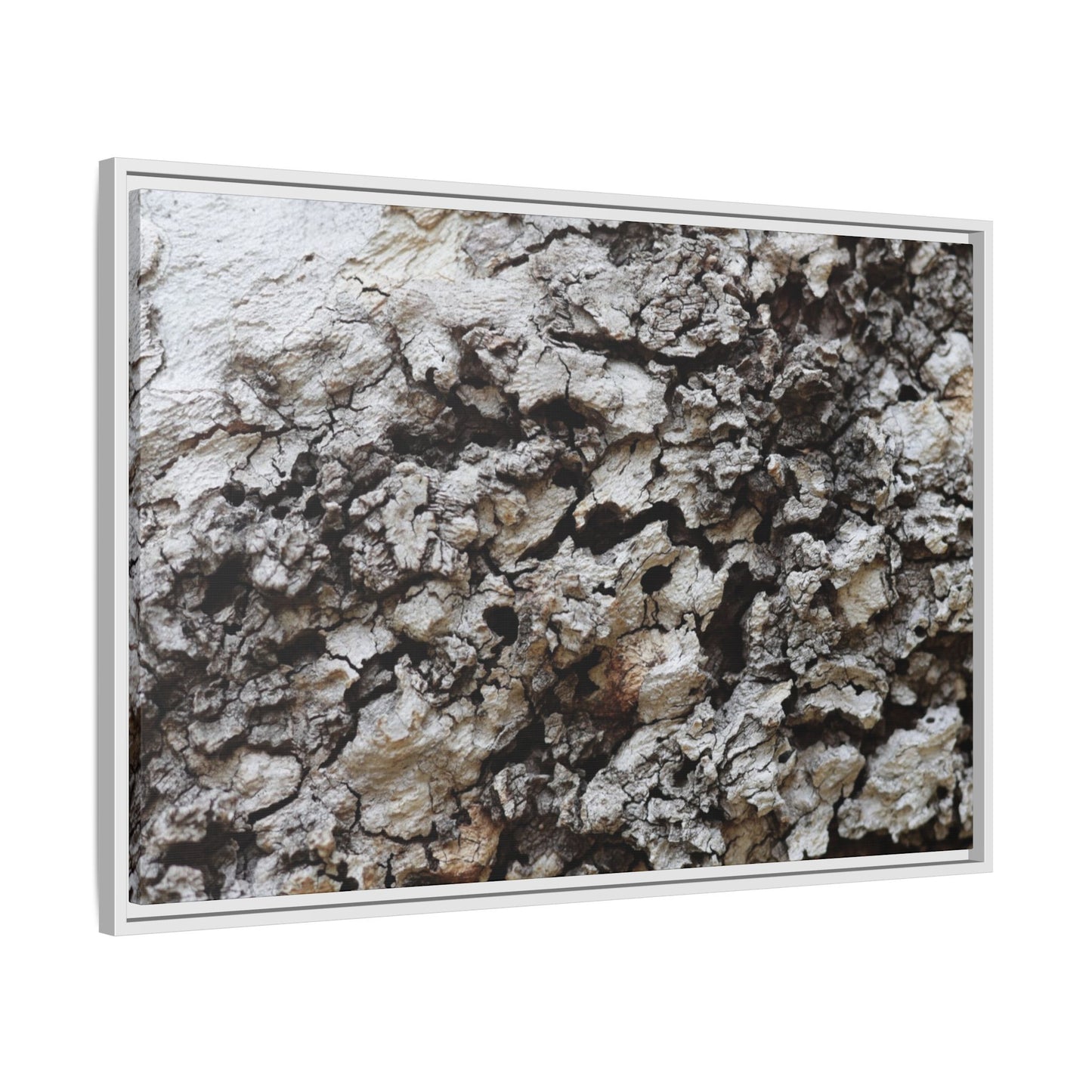 Cracked Terrain - Unique Stretched Canvas Wall Art
