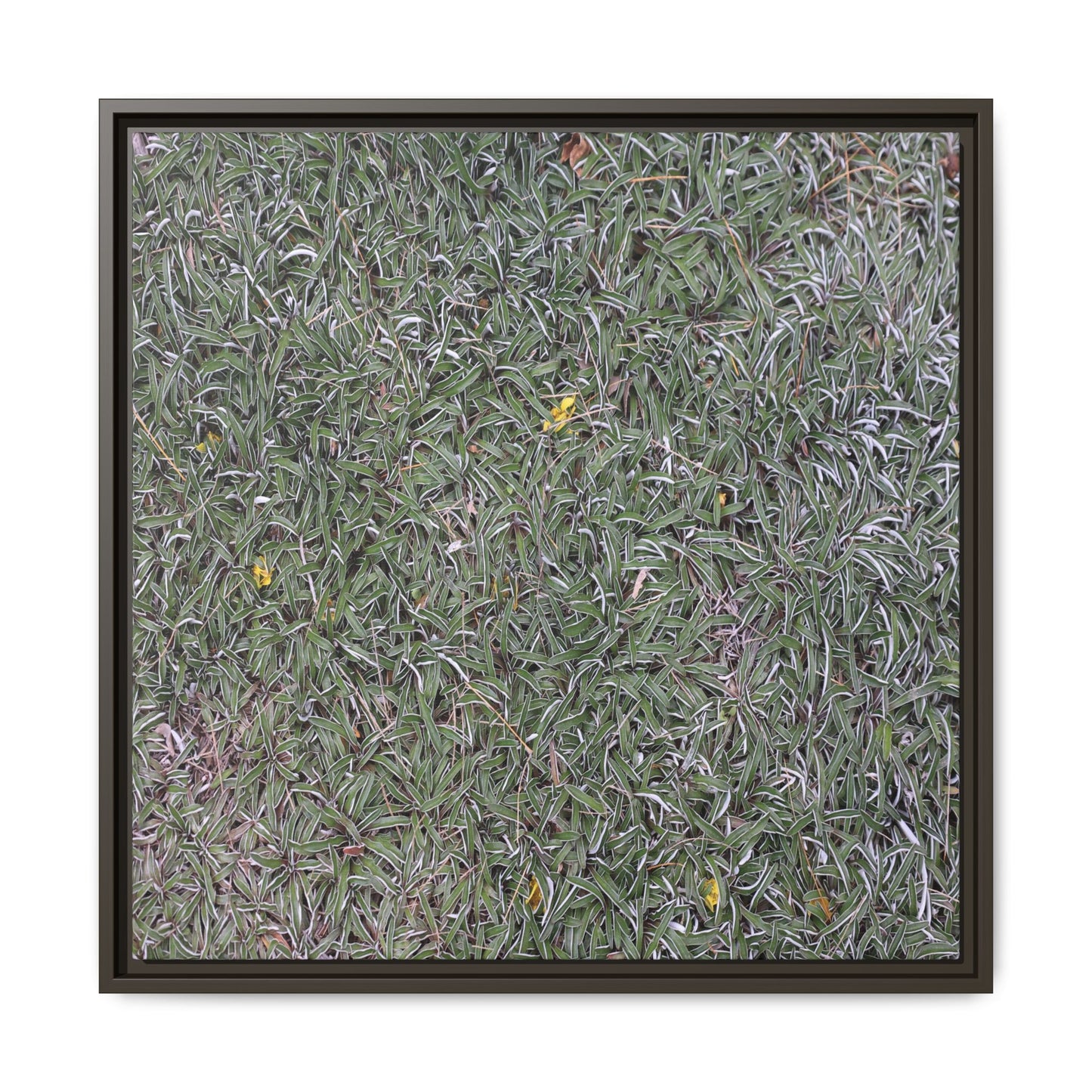 Grassy Texture - Unique Stretched Canvas Wall Art